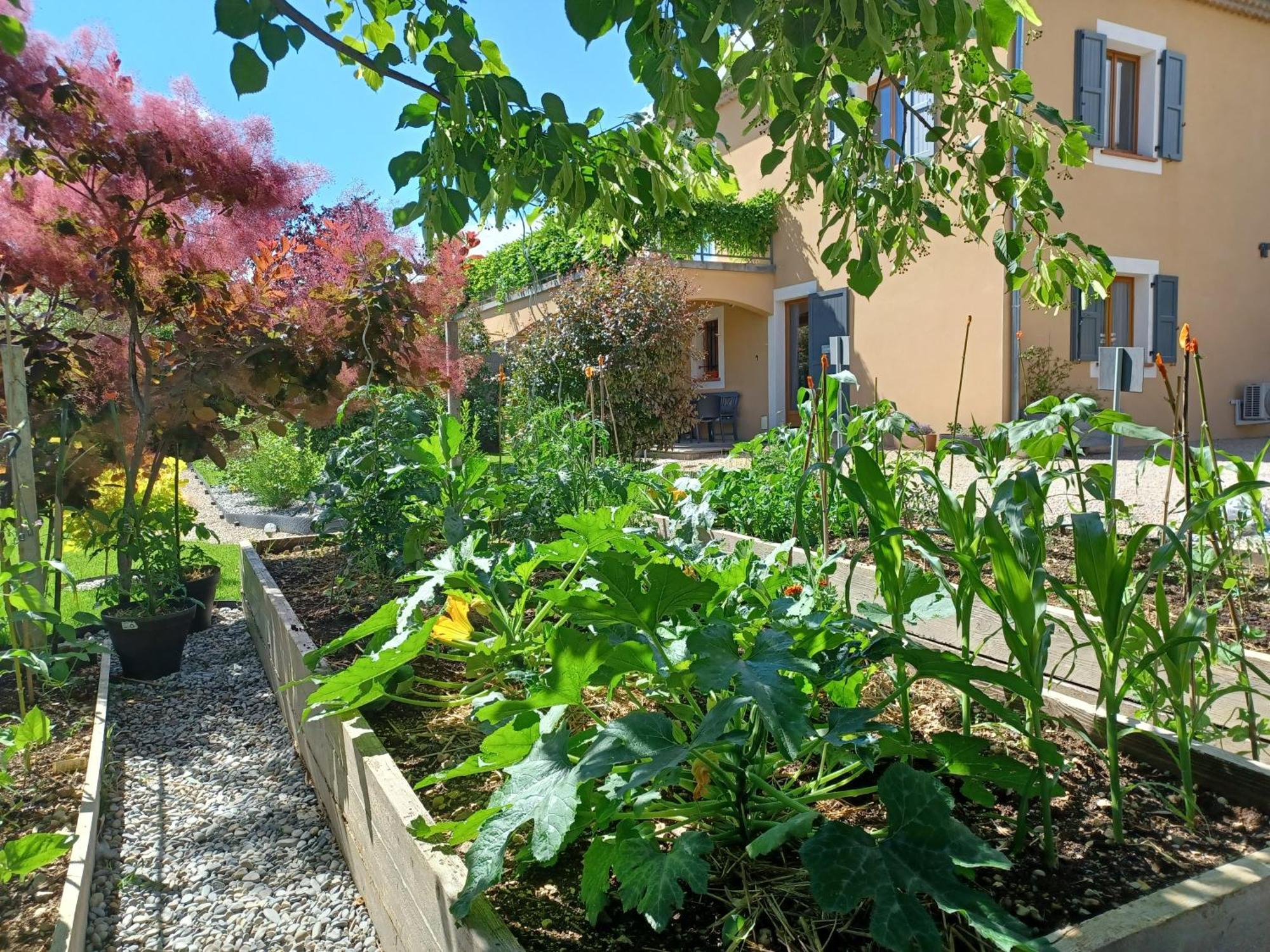 Appartement Entre Sisteron Et Gorges De La Meouge " Les Hauts De Toscane " Ribiers Bagian luar foto