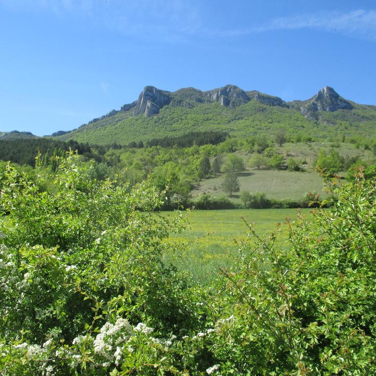 Appartement Entre Sisteron Et Gorges De La Meouge " Les Hauts De Toscane " Ribiers Bagian luar foto